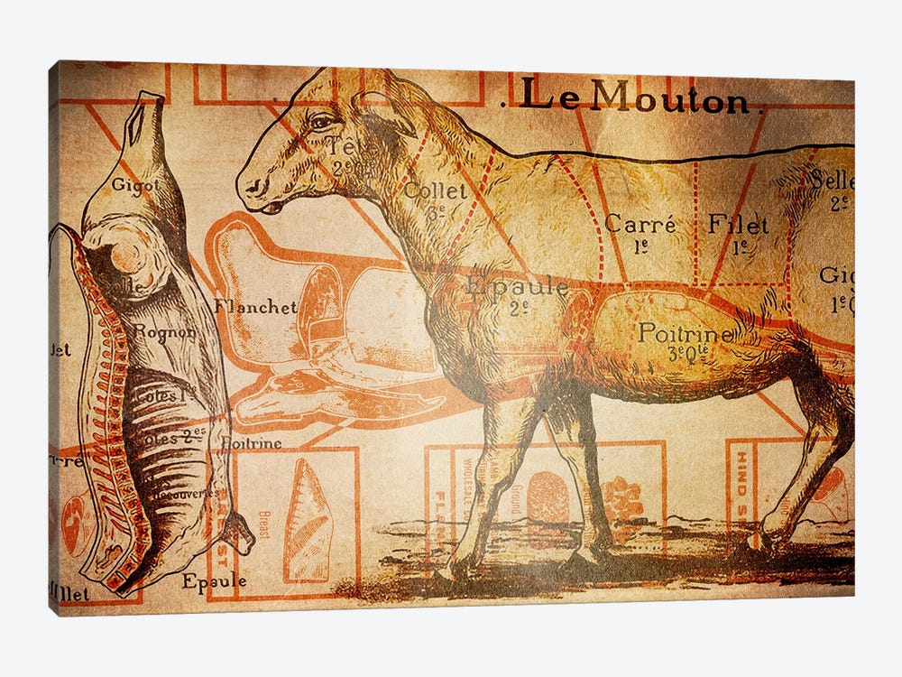 Le Mouton by 5by5collective 1-piece Canvas Art Print