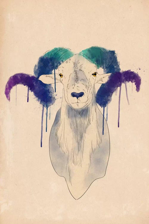 Watercolor Ram