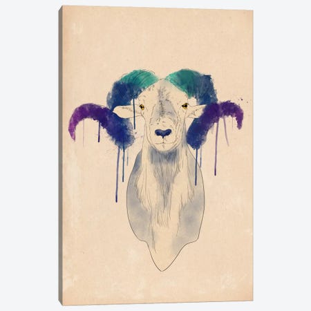 Watercolor Ram Canvas Print #ICA185} by 5by5collective Canvas Art