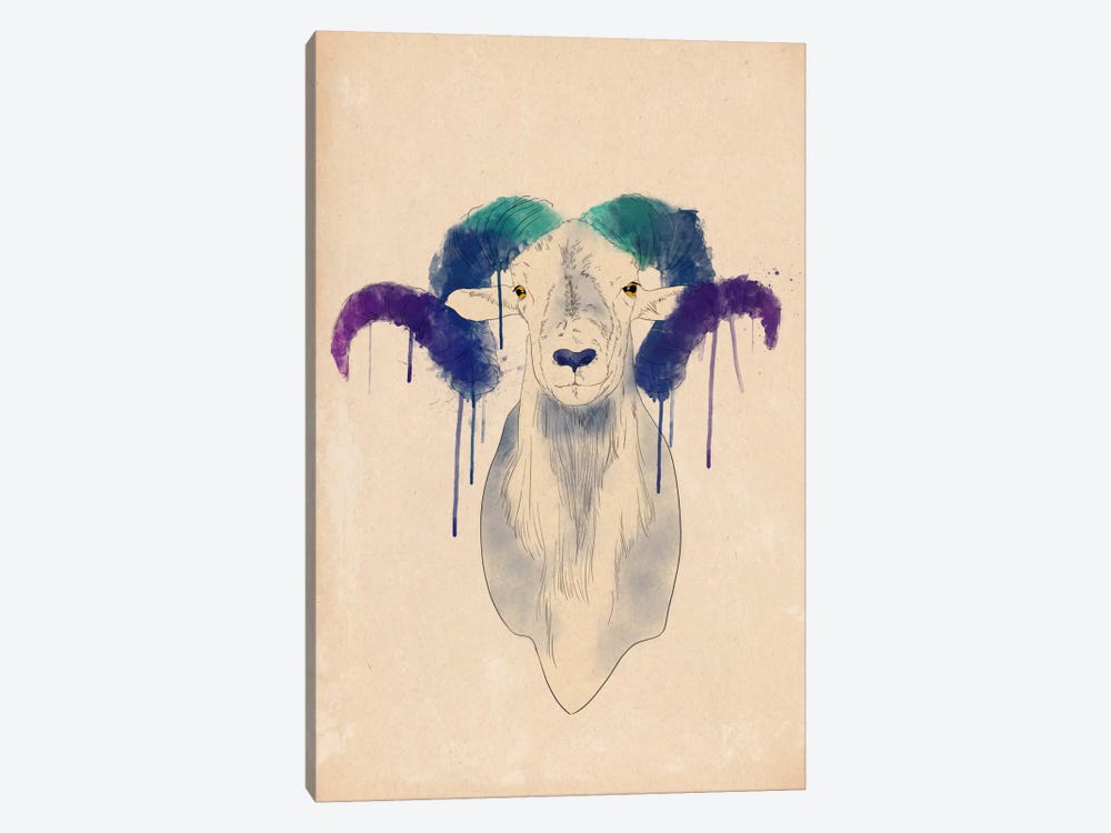 Watercolor Ram by 5by5collective 1-piece Canvas Artwork