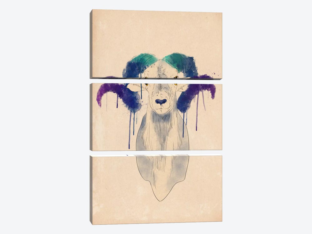 Watercolor Ram by 5by5collective 3-piece Canvas Artwork