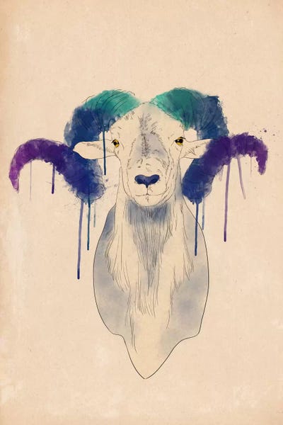 Rams: Watercolor Ram by 5by5collective
