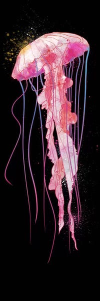 Black & Pink: Watercolor Jelly Fish by 5by5collective
