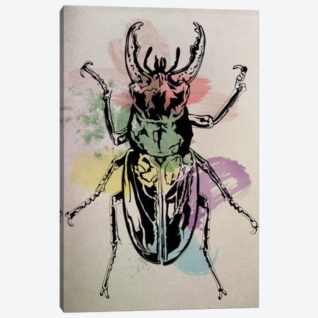 Beetle Specimine Canvas Print #ICA18} by 5by5collective Canvas Artwork