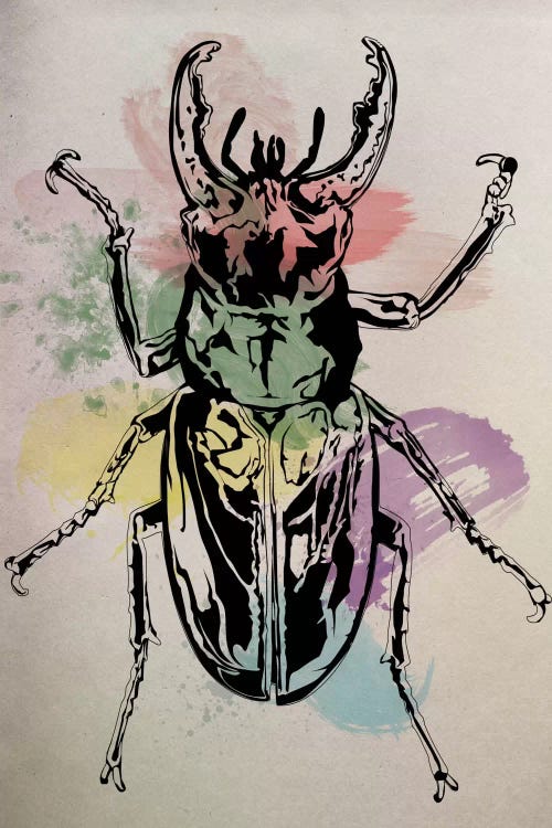 Beetle Specimine by 5by5collective wall art