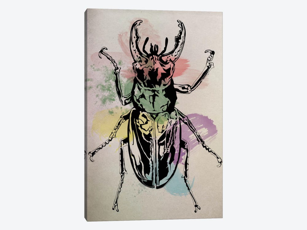 Beetle Specimine by 5by5collective 1-piece Canvas Art Print