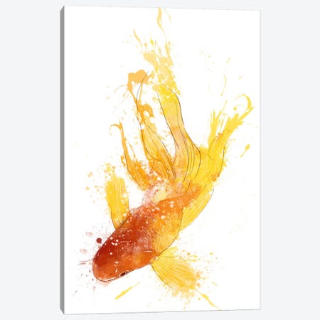 Gold Koi Canvas Print #ICA199} by Unknown Artist Canvas Art