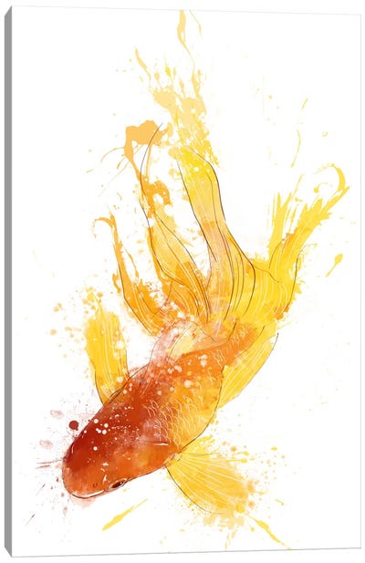 Gold Koi Canvas Art Print - Goldfish Art