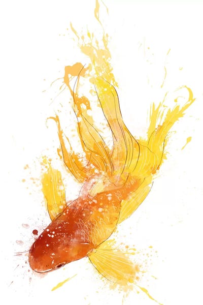 Goldfish: Gold Koi by 5by5collective