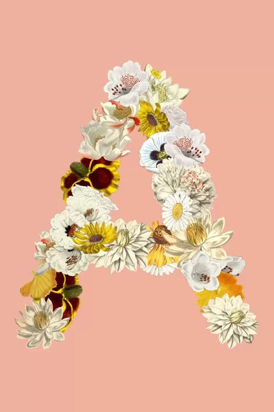 A White Flower by 5by5collective framed wall art