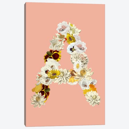 A White Flower Canvas Print #ICA216} by Unknown Artist Canvas Artwork