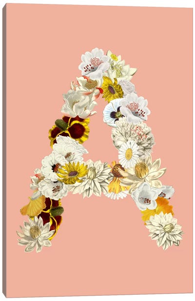 A White Flower Canvas Art Print - Letter A