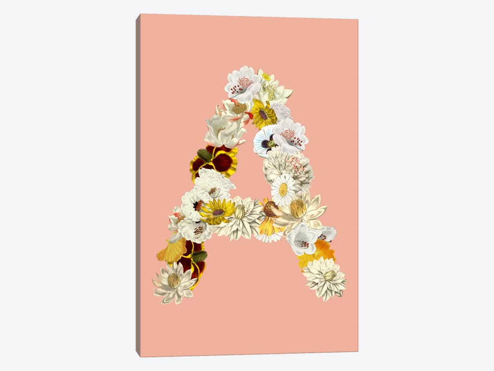 A White Flower by 5by5collective 1-piece Canvas Art