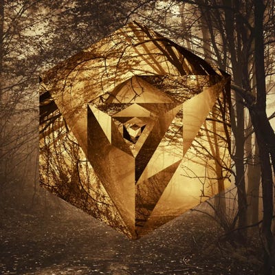 Through the Forest Path by 5by5collective canvas print