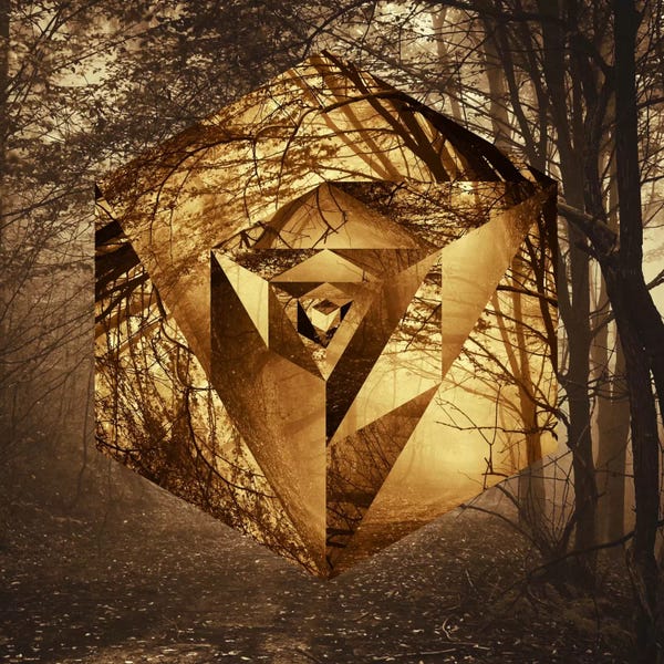 Forests: Through the Forest Path by 5by5collective