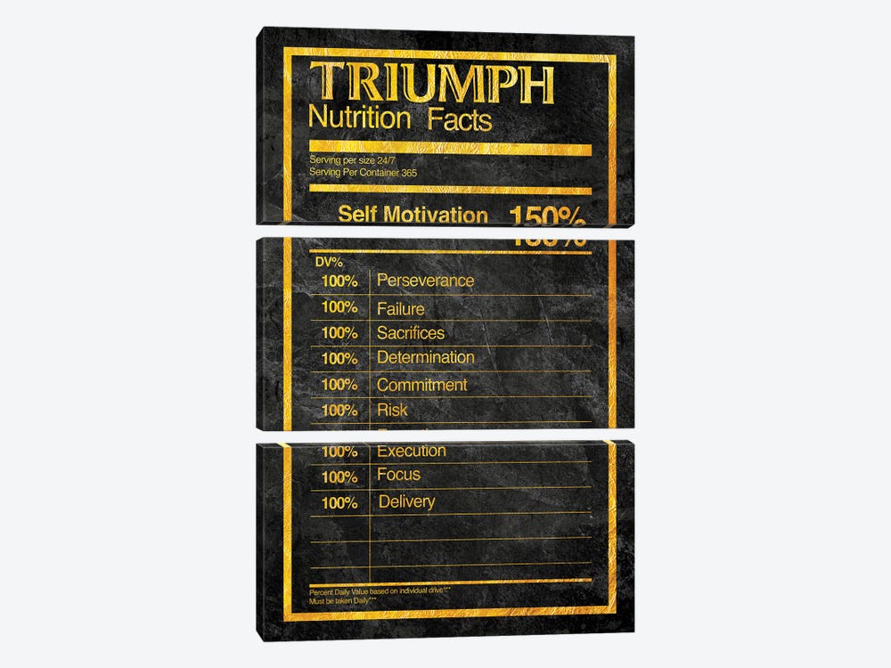 Nutrition Facts Triumph - Gold by 5by5collective 3-piece Canvas Art