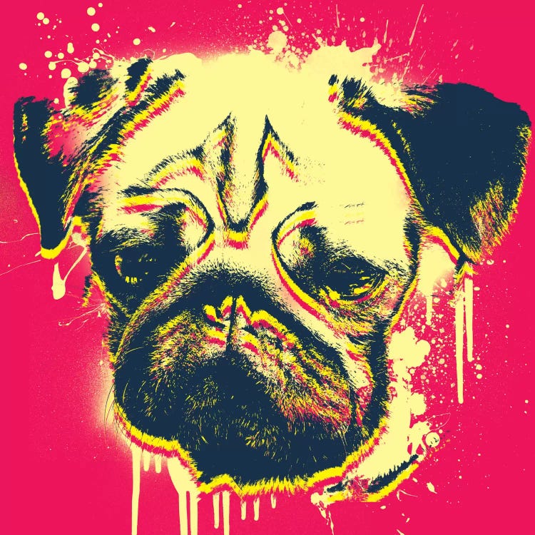 Pup Color Splash by Unknown Artist wall art