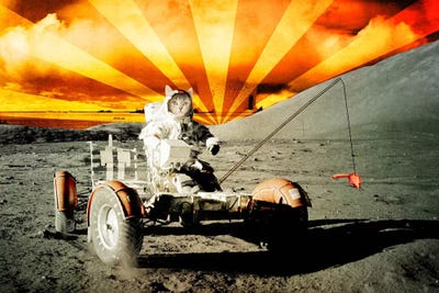 Cat Moon Rover by 5by5collective canvas print