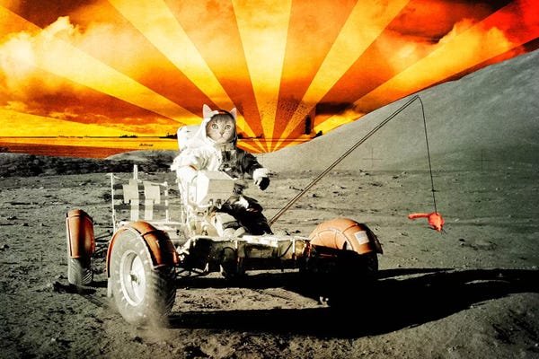 Cat Moon Rover