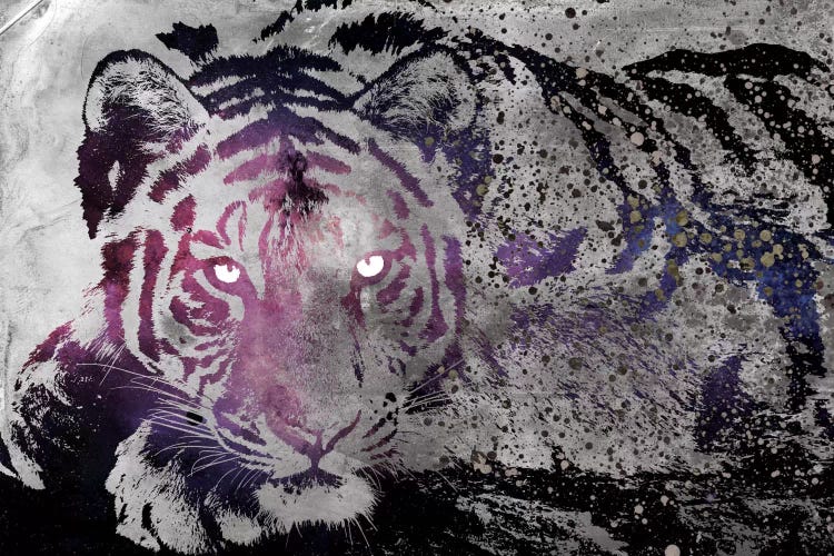 Dusk Tiger by 5by5collective wall art