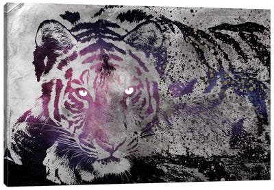 Dusk Tiger Canvas Art Print - 5by5 Collective