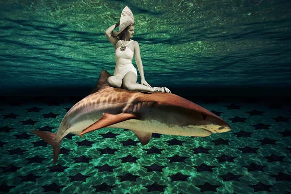 Sharks: Pageant Queen by 5by5collective