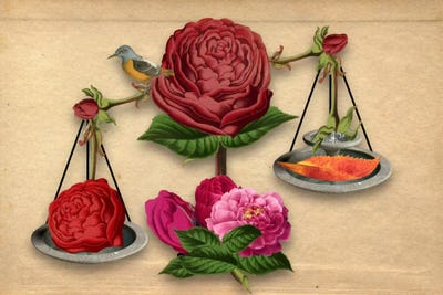 Floral Scales by 5by5collective canvas print