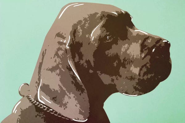 Dog Photography: My Pal by 5by5collective