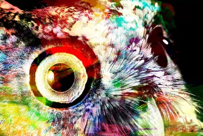 Color Rich by 5by5collective canvas print