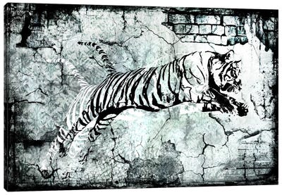 Stencil Street Art Tiger Canvas Art Print - Tiger Art