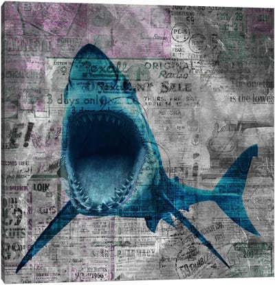 Shark Sale Canvas Art Print - Great White Sharks