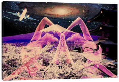 Yoga Under the Blossoms Canvas Art Print - Rickvez Galardo