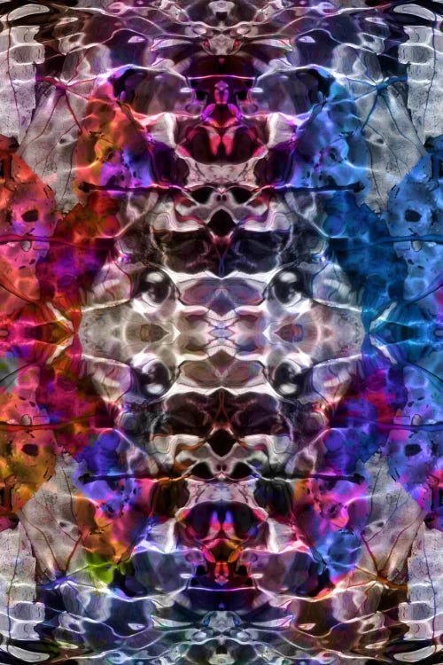 Skull Kaleidoscope by 5by5collective wall art