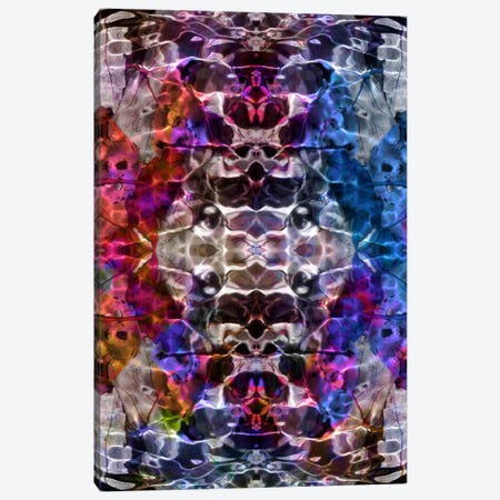 Skull Kaleidoscope Canvas Print #ICA334} by 5by5collective Canvas Art Print