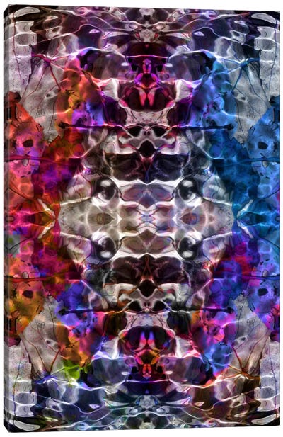 Skull Kaleidoscope Canvas Art Print - Abstract Art