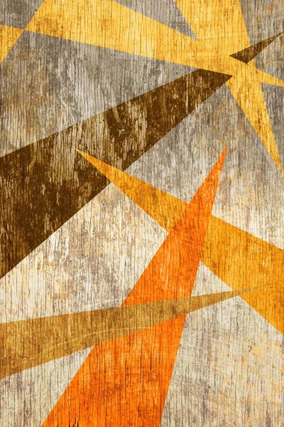 Woodgrain Prism by 5by5collective canvas print