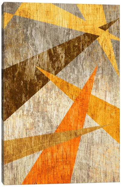 Woodgrain Prism Canvas Art Print - Abstract Art