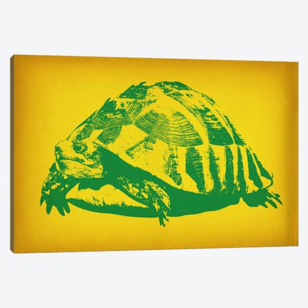 Green Tortoise Pop Art Canvas Print #ICA358} by 5by5collective Canvas Artwork