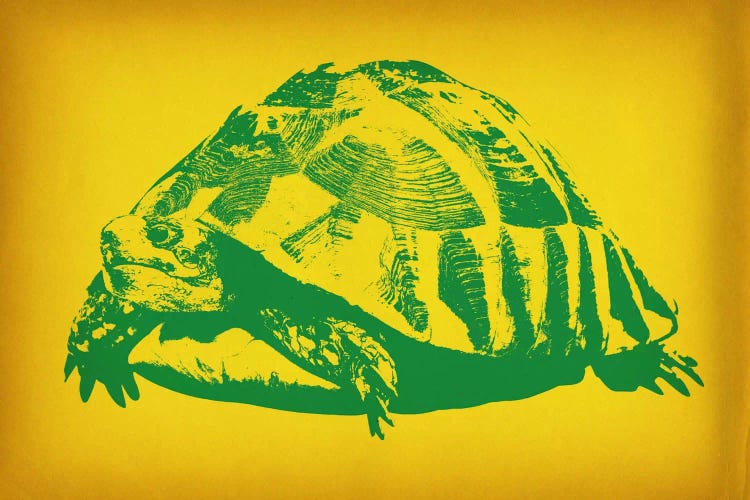 Green Tortoise Pop Art by 5by5collective wall art