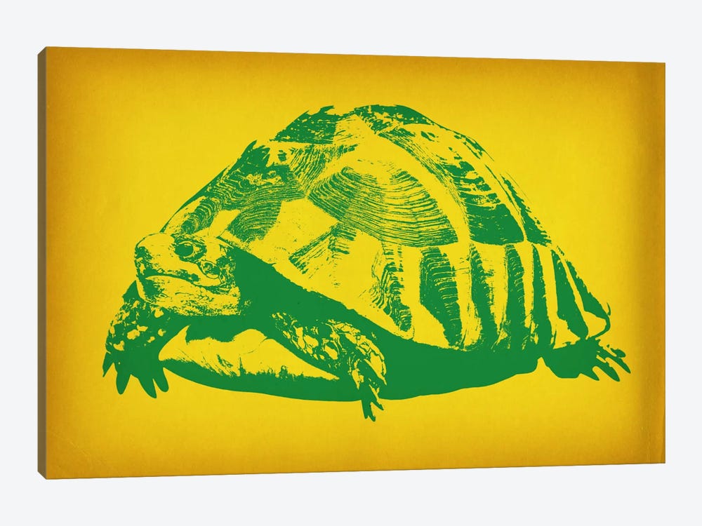 Green Tortoise Pop Art by 5by5collective 1-piece Canvas Art Print
