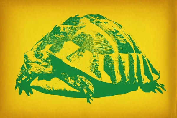 Kids Ocean Life Art: Green Tortoise Pop Art by 5by5collective