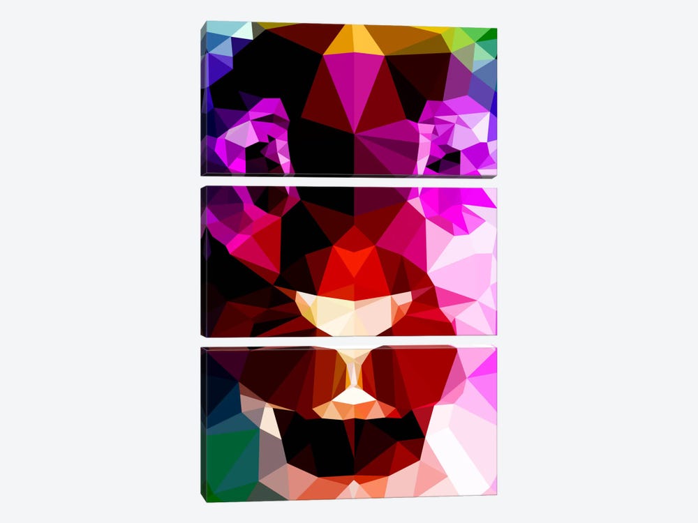 Lion Polygon Art by 5by5collective 3-piece Canvas Art
