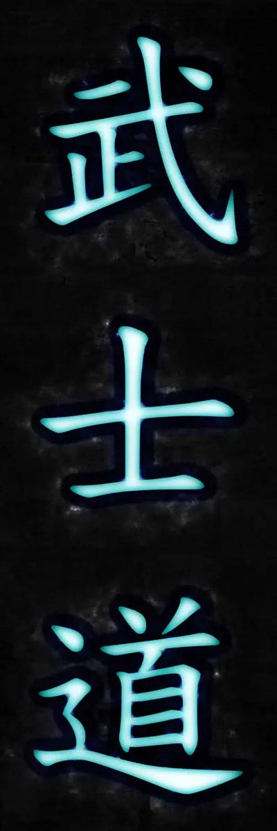 Bushido (Way of the Warrior) Neon by 5by5collective canvas print