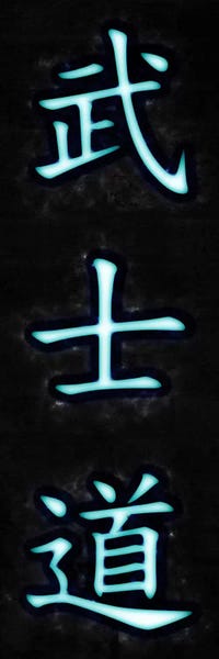 Bushido (Way of the Warrior) Neon