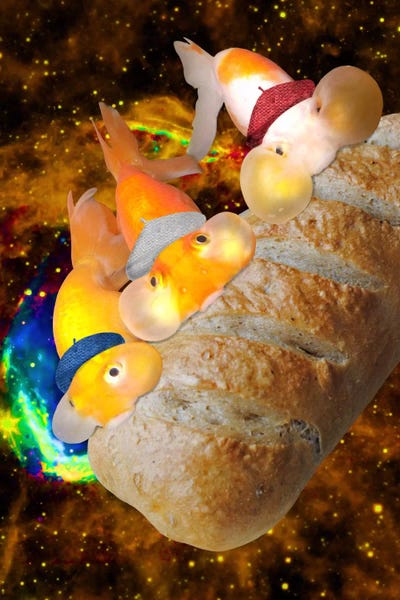 Goldfish: Fish Food by 5by5collective