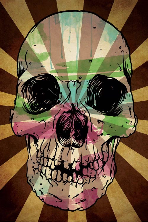 Rising Sun Watercolor Skull by 5by5collective wall art