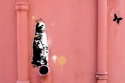 Too Attentive by 5by5collective canvas print