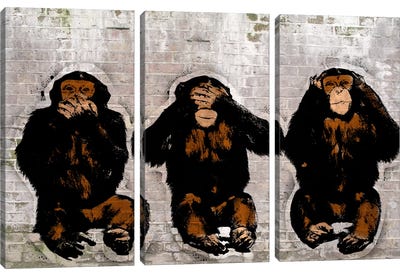 Monkey See, Monkey Do Canvas Art Print - 3-Piece Animal Art