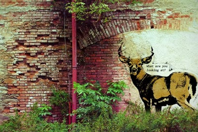 In Headlights by 5by5collective canvas print