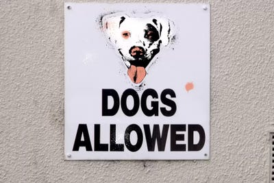 Dogs Allowed by 5by5collective canvas print